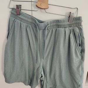 Light Blue Casual Athletic Lined Shorts